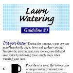 Lawn Watering